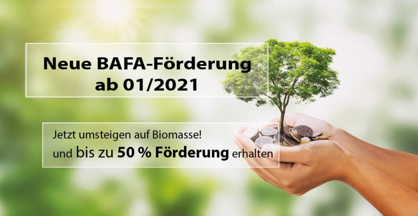BAFA-Förderung 2021